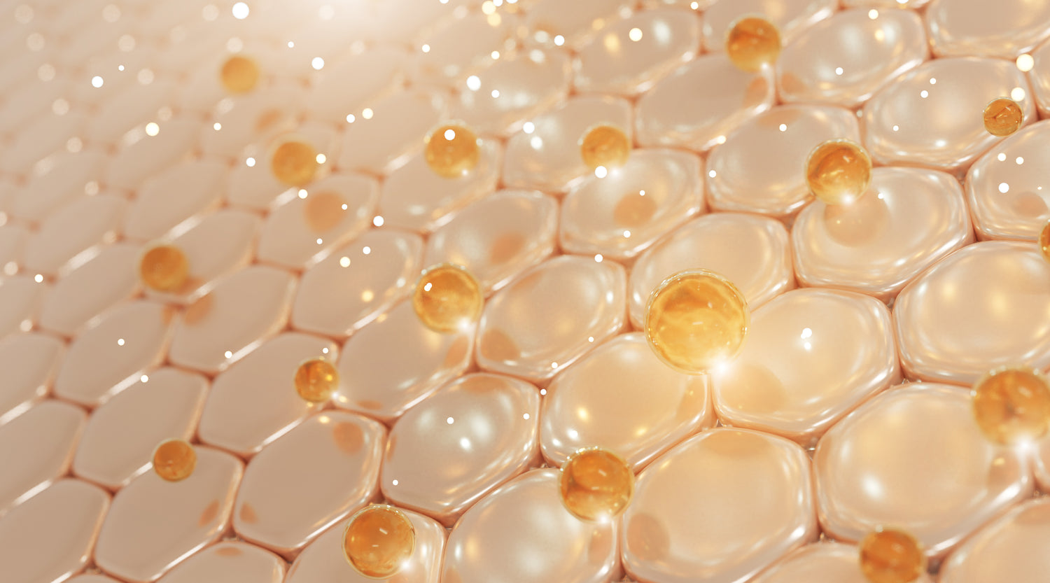 skin matrix