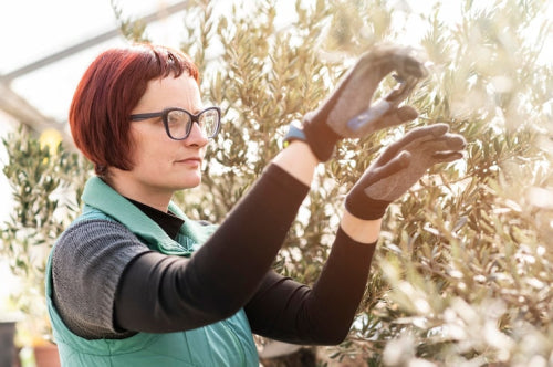 Professional Lines Integrate Botanicals With Science-Backed Actives