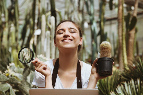 Approaches to Environmental Defense in Modern Topical Skincare Developments