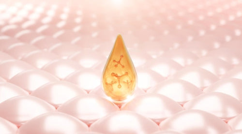 The Integration of Niacinamide and Ceramides in Strengthening Skin Layers