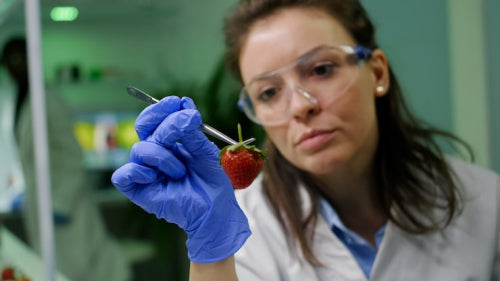 Scientists Study the Effects of Antioxidants and Botanicals on Skin Health