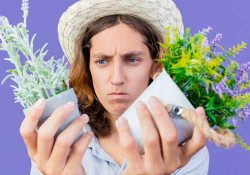 How Environmental Stressors Affect Skin Aging Over Time