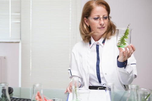 Why Botanical Extracts Are Being Re-Evaluated by Scientists