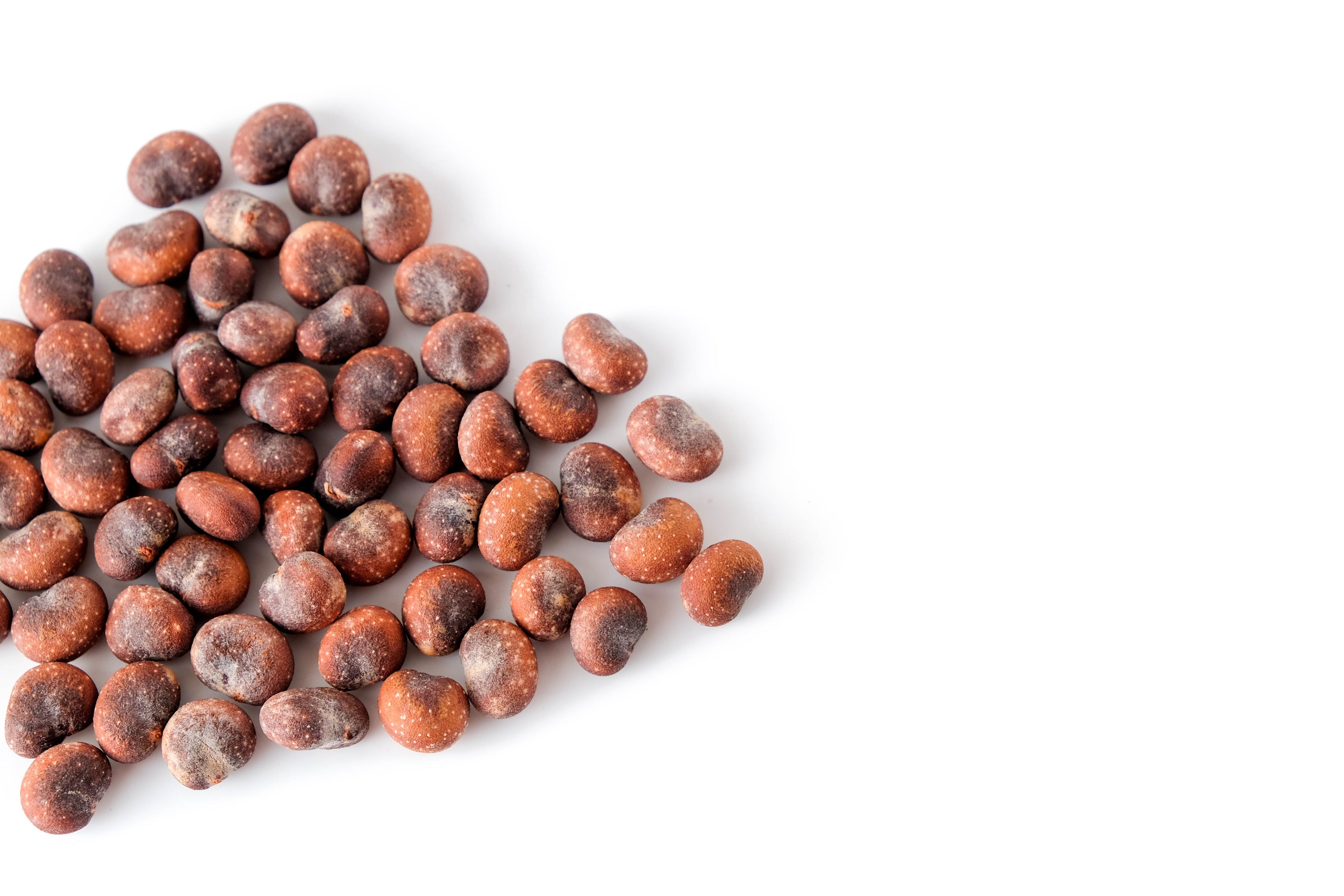 baobab