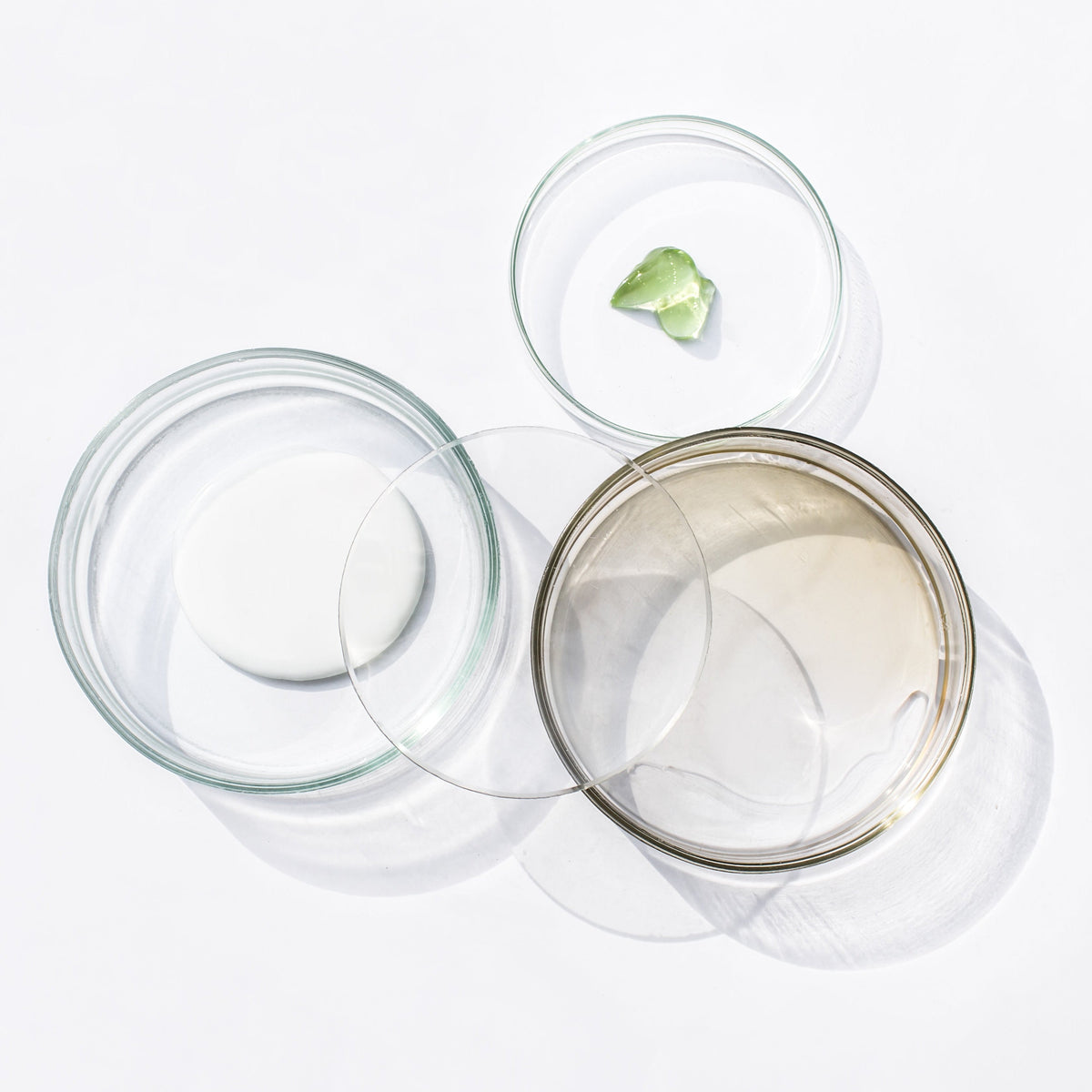 Glass bowls with mirrored rims overlap on a white surface, holding a small green leaf.
